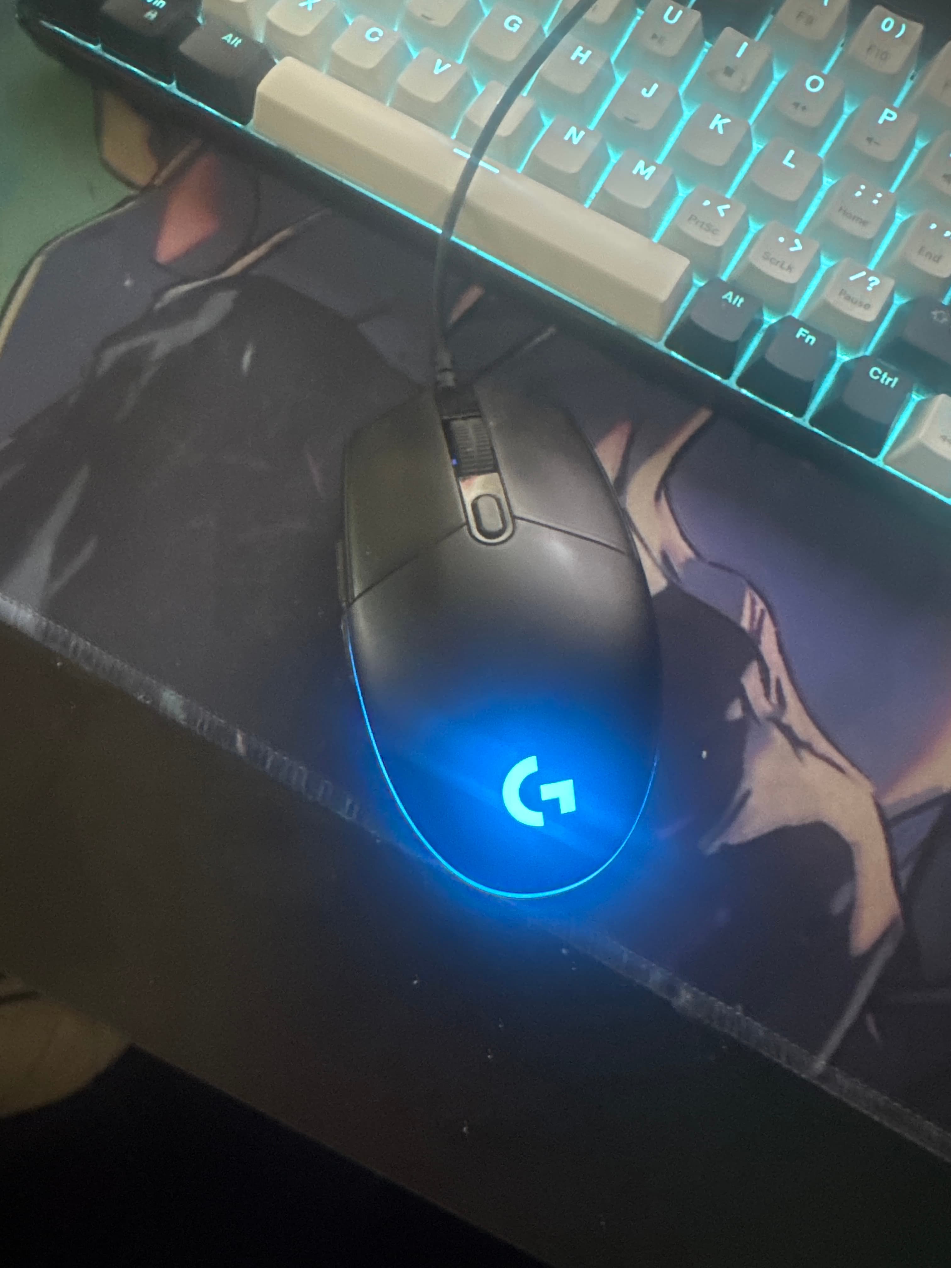 Mouse