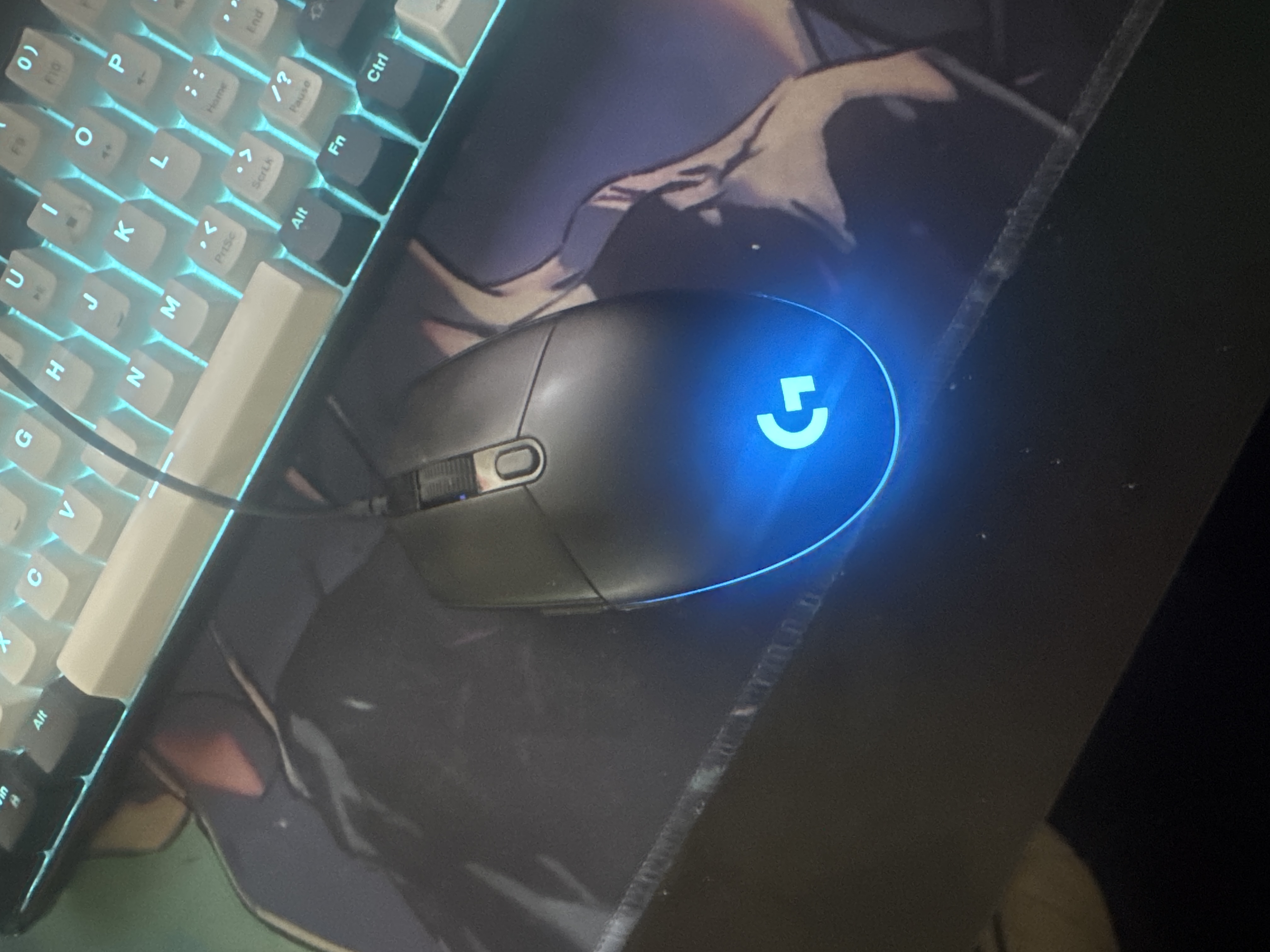 Mouse